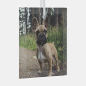French Bulldog Throw Pillow Glas Ornament (Voorkant Rechts)