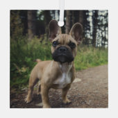 French Bulldog Throw Pillow Glas Ornament (Achterkant)