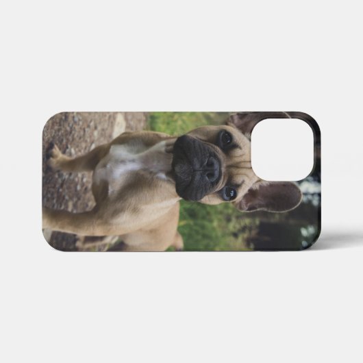 French Bulldog Throw Pillow iPhone Hoesje (Achterkant horizontaal)