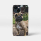 French Bulldog Throw Pillow iPhone Hoesje (Achterkant)