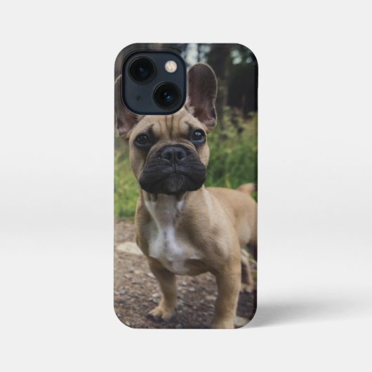 French Bulldog Throw Pillow iPhone Hoesje (Achterkant)