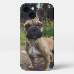 French Bulldog Throw Pillow iPhone 13 Hoesje