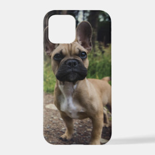 French Bulldog Throw Pillow iPhone 12 Pro Hoesje