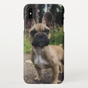 French Bulldog Throw Pillow iPhone XS Max Hoesje