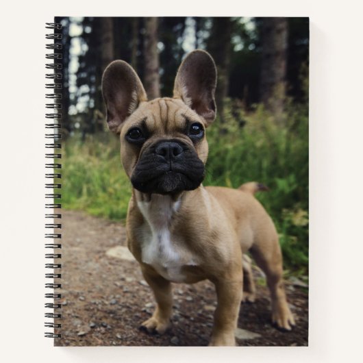 French Bulldog Throw Pillow Notitieboek (Voorkant)