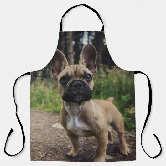 French Bulldog Throw Pillow Schort (Voorkant)