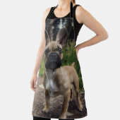 French Bulldog Throw Pillow Schort (Insitu)