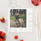 French Bulldog Throw Pillow Servet (Insitu)