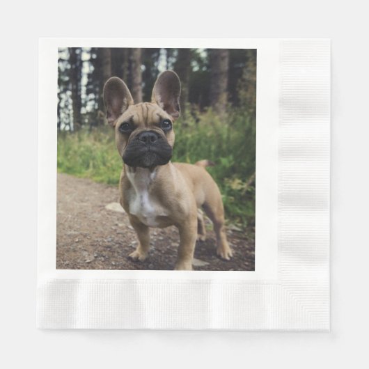 French Bulldog Throw Pillow Servet (Voorkant)