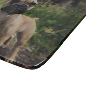 French Bulldog Throw Pillow Snijplank (Hoek)