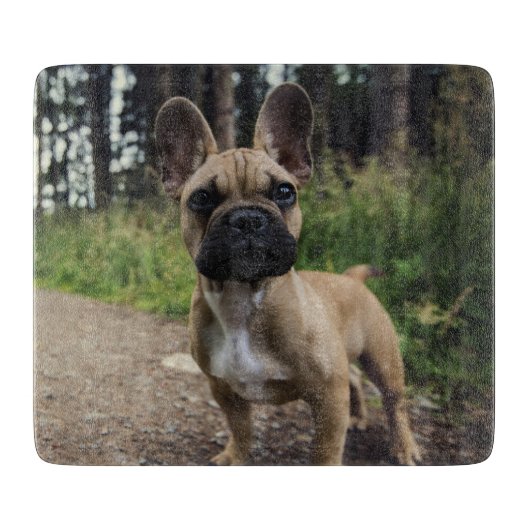 French Bulldog Throw Pillow Snijplank (Voorkant)