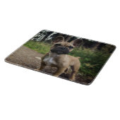 French Bulldog Throw Pillow Snijplank (Hoek)