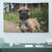 French Bulldog Throw Pillow Spandoek (Beurs)