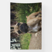 French Bulldog Throw Pillow Spandoek (Verticaal)