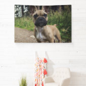 French Bulldog Throw Pillow Spandoek (Insitu)