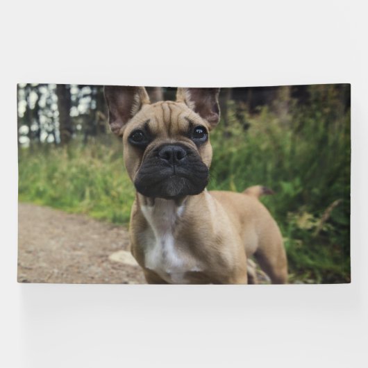 French Bulldog Throw Pillow Spandoek (Horizontaal)
