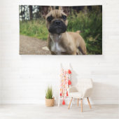 French Bulldog Throw Pillow Spandoek (Insitu)