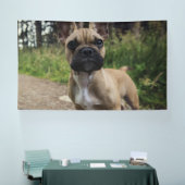 French Bulldog Throw Pillow Spandoek (Beurs)