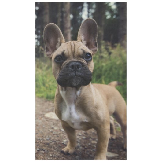 French Bulldog Throw Pillow Tafelkleed (Voorkant)