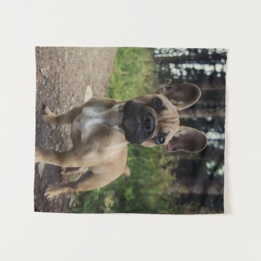 French Bulldog Throw Pillow Wandkleed (Voorkant (horizontaal))