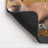 French Bulldog und Mastiff Freunde Muismat (Hoek)