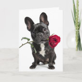 French Bulldog Valentine – Big Love, Sweet Charm Kaart (Voorkant)