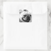 French Bulldog Vierkante Sticker (Tas)
