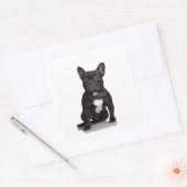 French Bulldog Vierkante Sticker (Envelop)