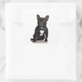 French Bulldog Vierkante Sticker (Tas)