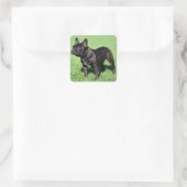 French Bulldog Vierkante Sticker (Tas)
