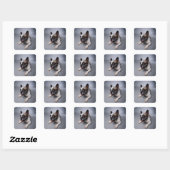 French Bulldog Vierkante Sticker (Vel)