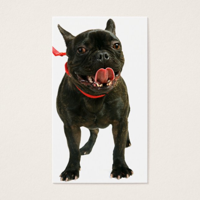 French Bulldog Visitekaartje (Voorkant)