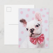 French Bulldog with Bow Tie Briefkaart (Voorkant / Achterkant)