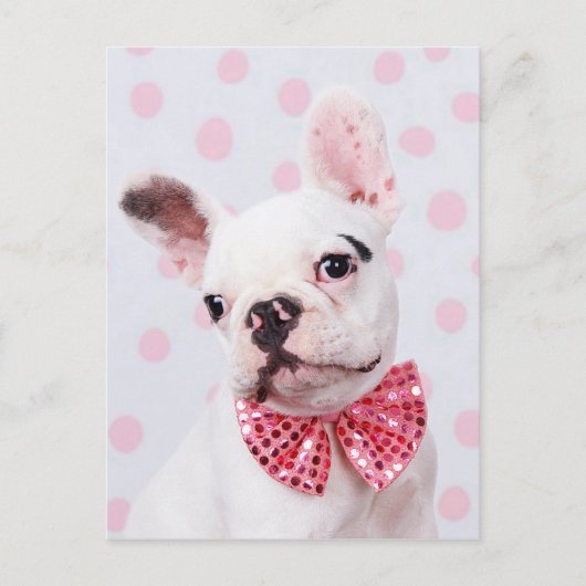 French Bulldog with Bow Tie Briefkaart (Voorkant)