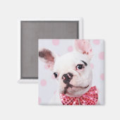 French Bulldog with Bow Tie Magneet (Voorkant / Achterkant)