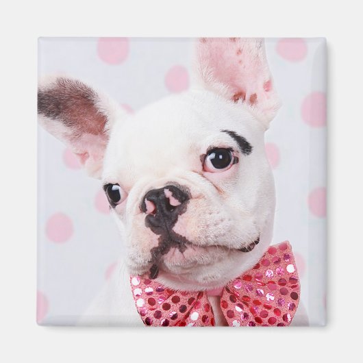 French Bulldog with Bow Tie Magneet (Voorkant)
