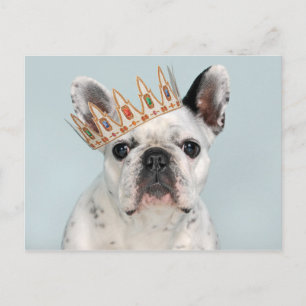 French Bulldog with Crown Briefkaart