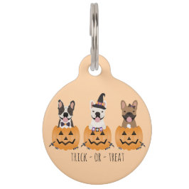 French Bulldogs Trick Or Treat Pompoen Huisdierpenning
