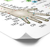 French Five Elements Acupuncture Poster (Hoek)