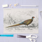 French Pheasant Bird Carte Postale Decoupage Vint Tissuepapier (Craft)