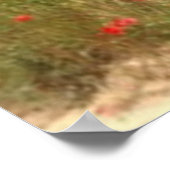 French Poppies in Southern France Poster (Hoek)