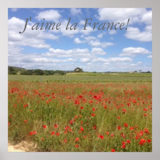 French Poppies in Southern France Poster (Voorkant)