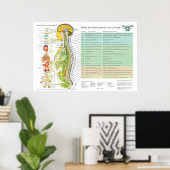 French Subluxation Spinal Nerves ANS Chart Poster (Thuiskantoor)