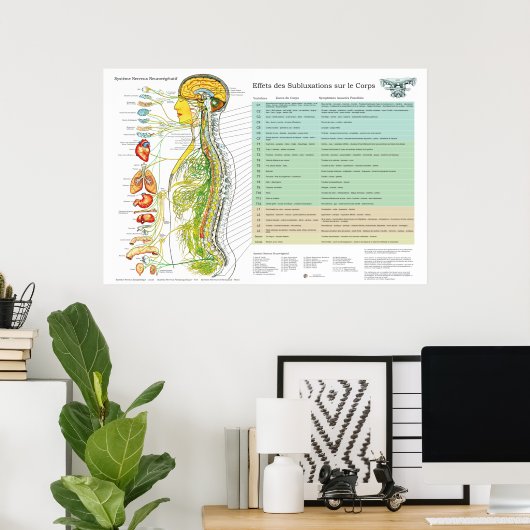 French Subluxation Spinal Nerves ANS Chart Poster (Thuiskantoor)
