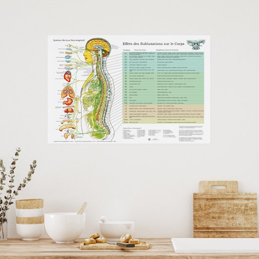 French Subluxation Spinal Nerves ANS Chart Poster (Keuken)