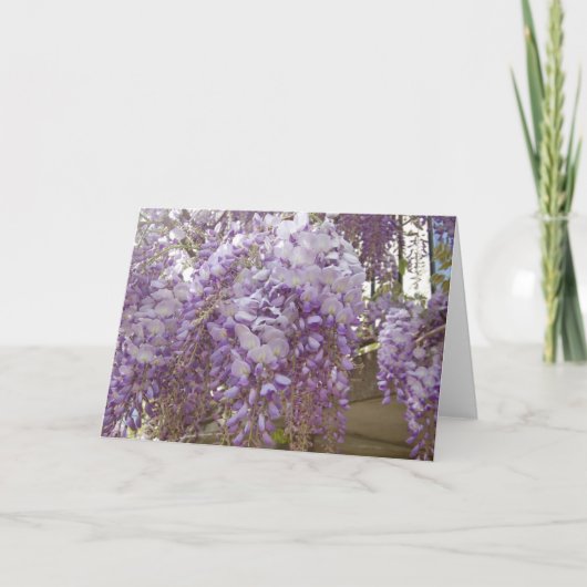 French Wisteria Feestdagen Kaart (Voorkant)