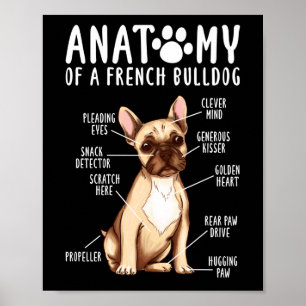 Frenchie  Anatomy Of A French Bulldog  Mom Dad Poster