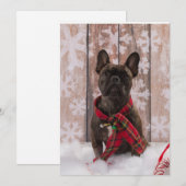 Frenchie Baby Feestdagenkaart (Voorkant / Achterkant)