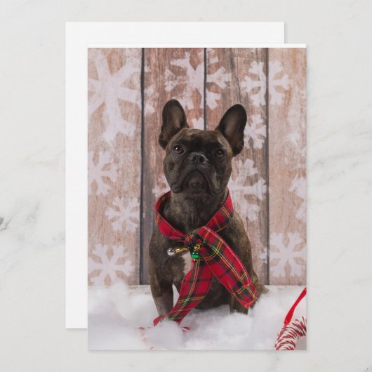 Frenchie Baby Feestdagenkaart (Voorkant / Achterkant)