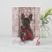 Frenchie Baby Feestdagenkaart (Staand voorkant)